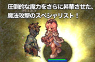 圧倒的な魔力をさらに昇華させた、魔法攻撃のスペシャリスト!