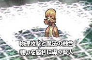 物理攻撃と魔法の融合!戦いを勝利に導く賢人