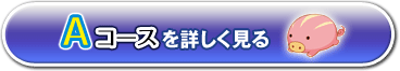 A�R�[�X���ڂ�������