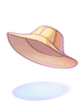 調査団の帽子[1]