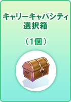 キャリーキャパシティ選択箱(1個)