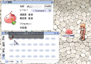 ペット変身のやり方