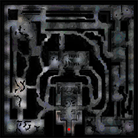 標本環境(霊魂)