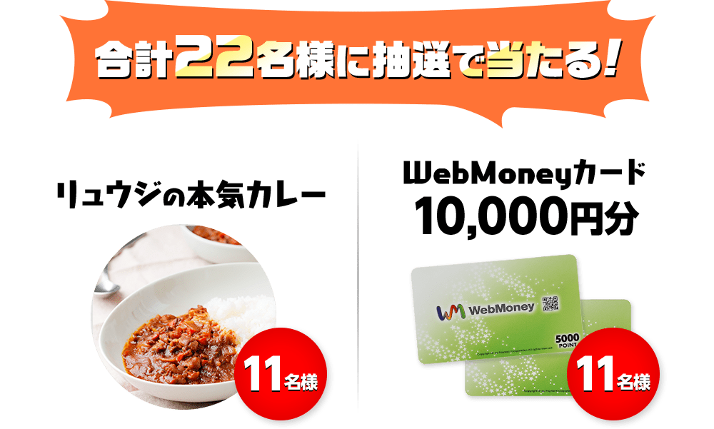 合計22名様に抽選で当たる!リュウジの本気カレーWebMoneyカード10,000円分