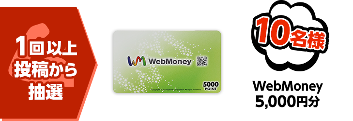 1回以上投稿から抽選 10名様 WebMoney 5,000円分