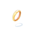 金の指輪[0]