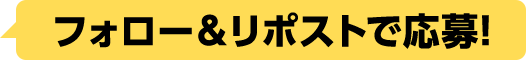 フォロー＆リポストで応募!