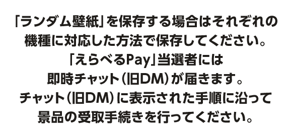 「ランダム壁紙」を保存する場合はそれぞれの機種に対応した方法で保存してください。「えらべるPay」当選者には即時チャット（旧DM）が届きます。チャット（旧DM）に表示された手順に沿って景品の受取手続きを行ってください。