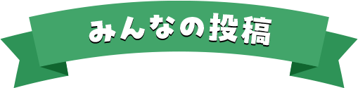 みんなの投稿