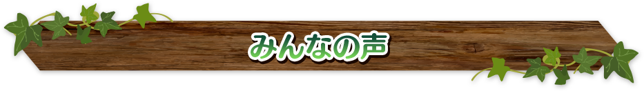 みんなの声