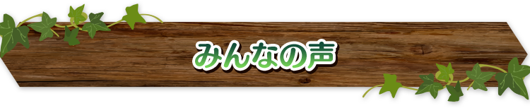 みんなの声