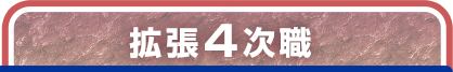 拡張4次職