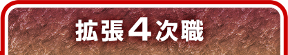 拡張4次職