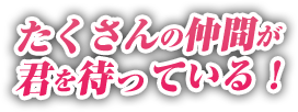 たくさんの仲間が君を待っている！