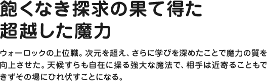 飽くなき探求の果て得た超越した魔力 ウォーロックの上位職。次元を超え、さらに学びを深めたことで魔力の質を向上させた。天候すらも自在に操る強大な魔法で、相手は近寄ることもできずその場にひれ伏すことになる。