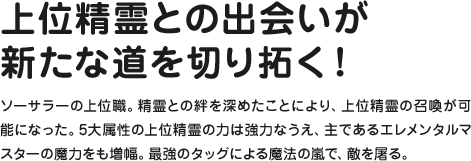 上位精霊との出会いが新たな道を切り拓く！ ソーサラーの上位職。精霊との絆を深めたことにより、上位精霊の召喚が可能になった。5大属性の上位精霊の力は強力なうえ、主であるエレメンタルマスターの魔力をも増幅。最強のタッグによる魔法の嵐で、敵を屠る。