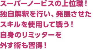 スーパーノービスの上位職！独自解釈を行い、発展させたスキルを使用して戦う！自身のリミッターを外す術も習得！