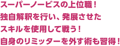 スーパーノービスの上位職！独自解釈を行い、発展させたスキルを使用して戦う！自身のリミッターを外す術も習得！