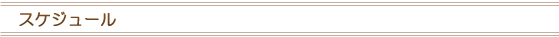 スケジュール