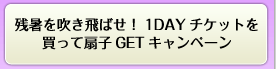 1DAY`Pbg𔃂ĐqGETLy[