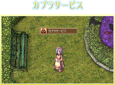 カプラサービス