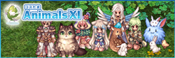 コスたまAnimalsXI