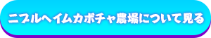 ニブルヘイムカボチャ農場について見る