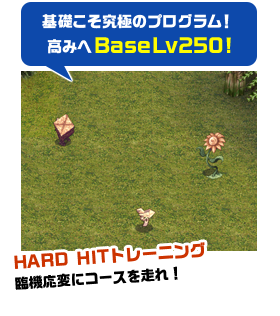 基礎こそ究極のプログラム！高みへBaseLv250!