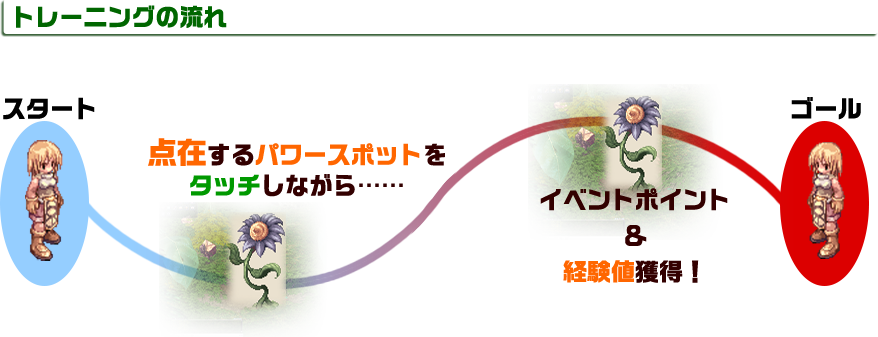 HITトレーニングの流れ