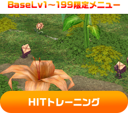 BaseLv1～199限定メニュー HITトレーニング