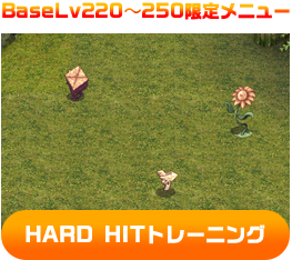 BaseLv220～250限定メニュー HARD HITトレーニング