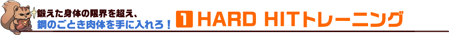 1 HARD HITトレーニング