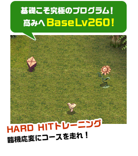 基礎こそ究極のプログラム！高みへBaseLv260!