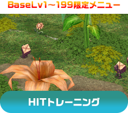 BaseLv1～199限定メニュー HITトレーニング
