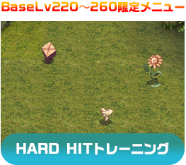 BaseLv220～260限定メニュー HARD HITトレーニング