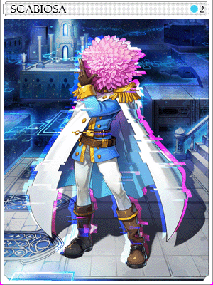 スカビオサカード