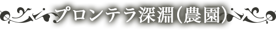 プロンテラ深淵（農園）