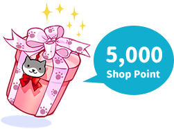 [2026]復刻コスたまの箱(Season2)を購入