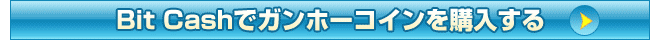 Bit Cash�ŃK���z�[�R�C�����w������