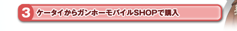 �P�[�^�C����K���z�[���o�C��SHOP�ōw��
