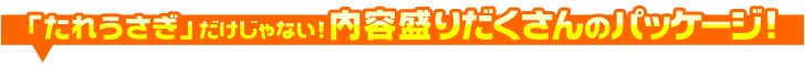 uꂤvȂIe肾̃pbP[WI