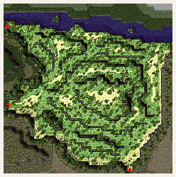 異界の森林地図