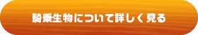 騎乗生物について詳しく見る