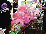 ザ☆抽選所 写真1
