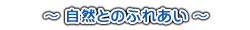 `RƂ̂ӂꂠ`