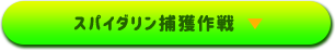 スパイダリン捕獲作戦▶