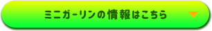 ミニガーリンの情報はこちら▶