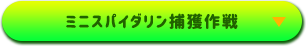 ミニスパイダリン捕獲作戦