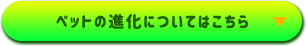 ペット進化についてはこちら