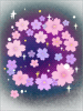 [レンタル衣装] 満開の桜